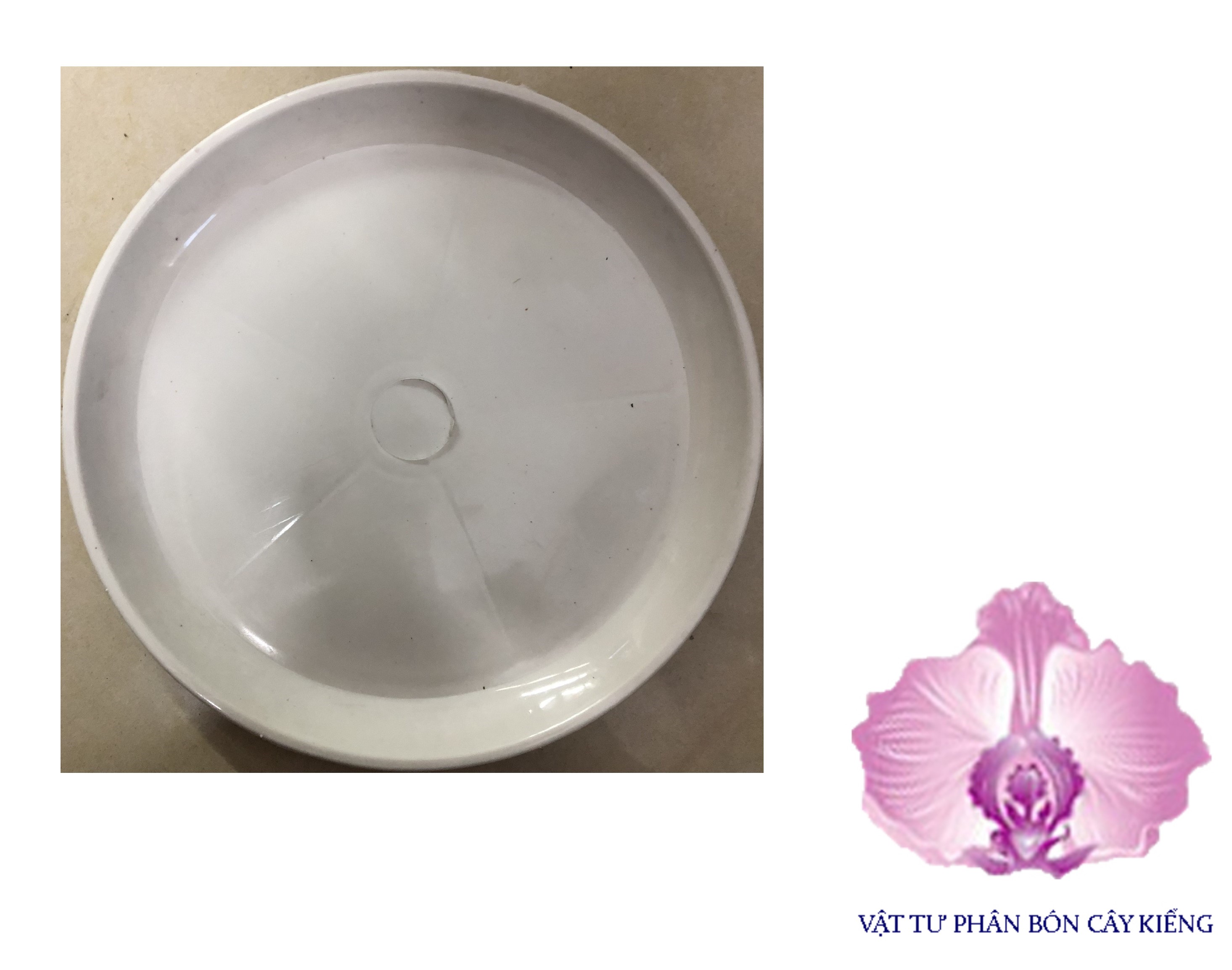 Đĩa lót chậu tròn 24cm - #042d#