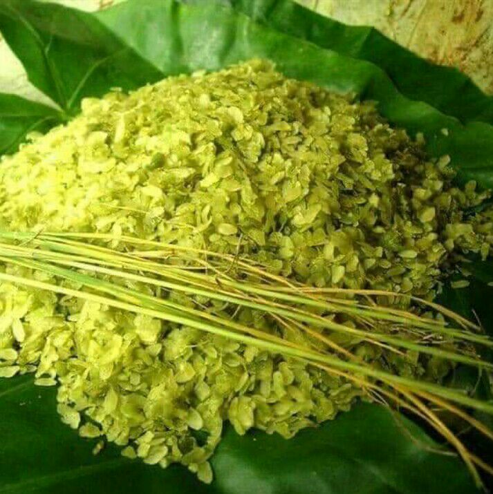 Cốm Hà Nội 1kg