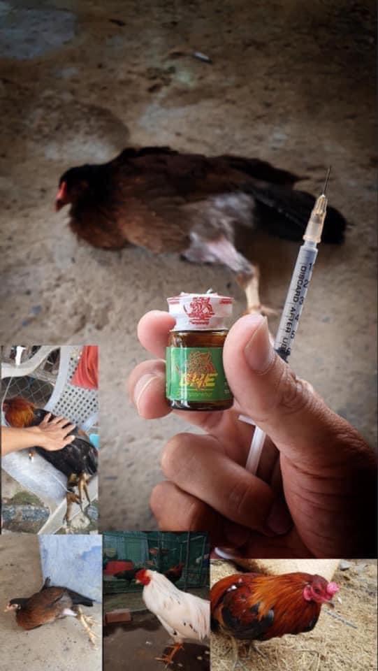 Thuốc trị té gió gà đá Max One