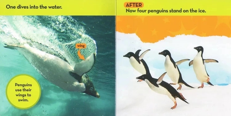 National Geographic Kids - Look & Learn (12 cuốn - Sách thiếu nhi tiếng anh)