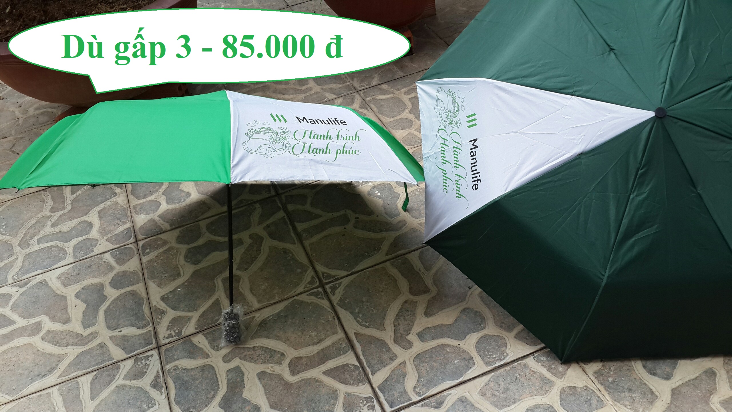 Ô/Dù gấp 3 (quà tặng Manulife)