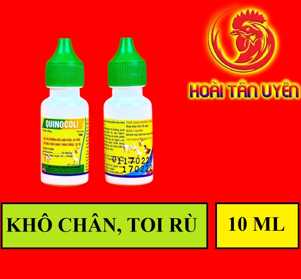 QUINOCOLI phân xanh, phân trắng cho gà đá 10ml