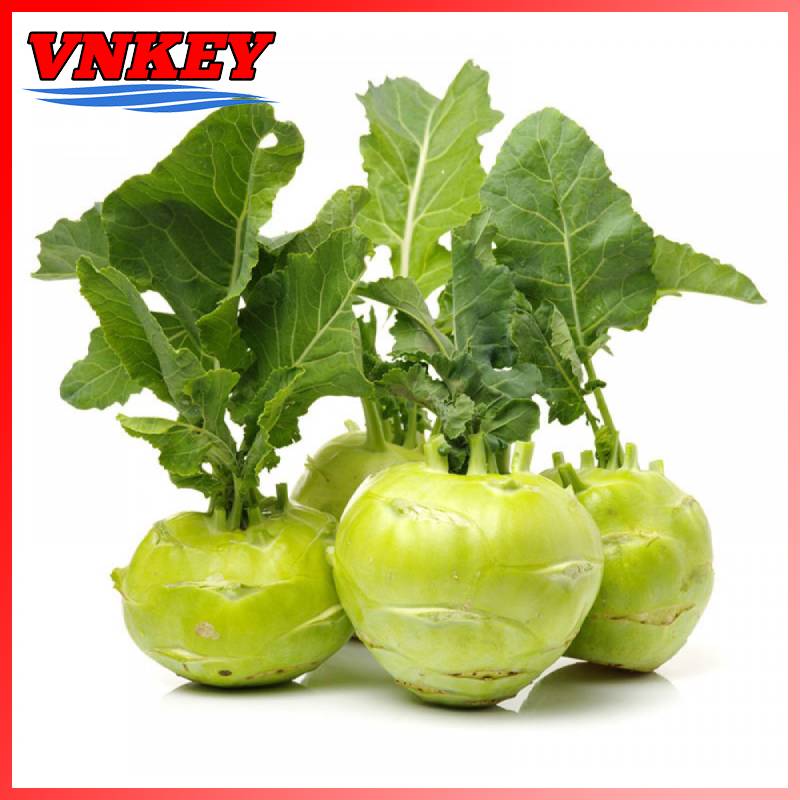 Hạt Giống Củ Su Hào Năng Suất Cao