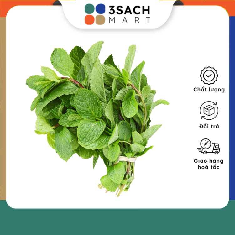 Combo 2 gói Húng Lủi (Húng Nhủi) - 50gr/gói