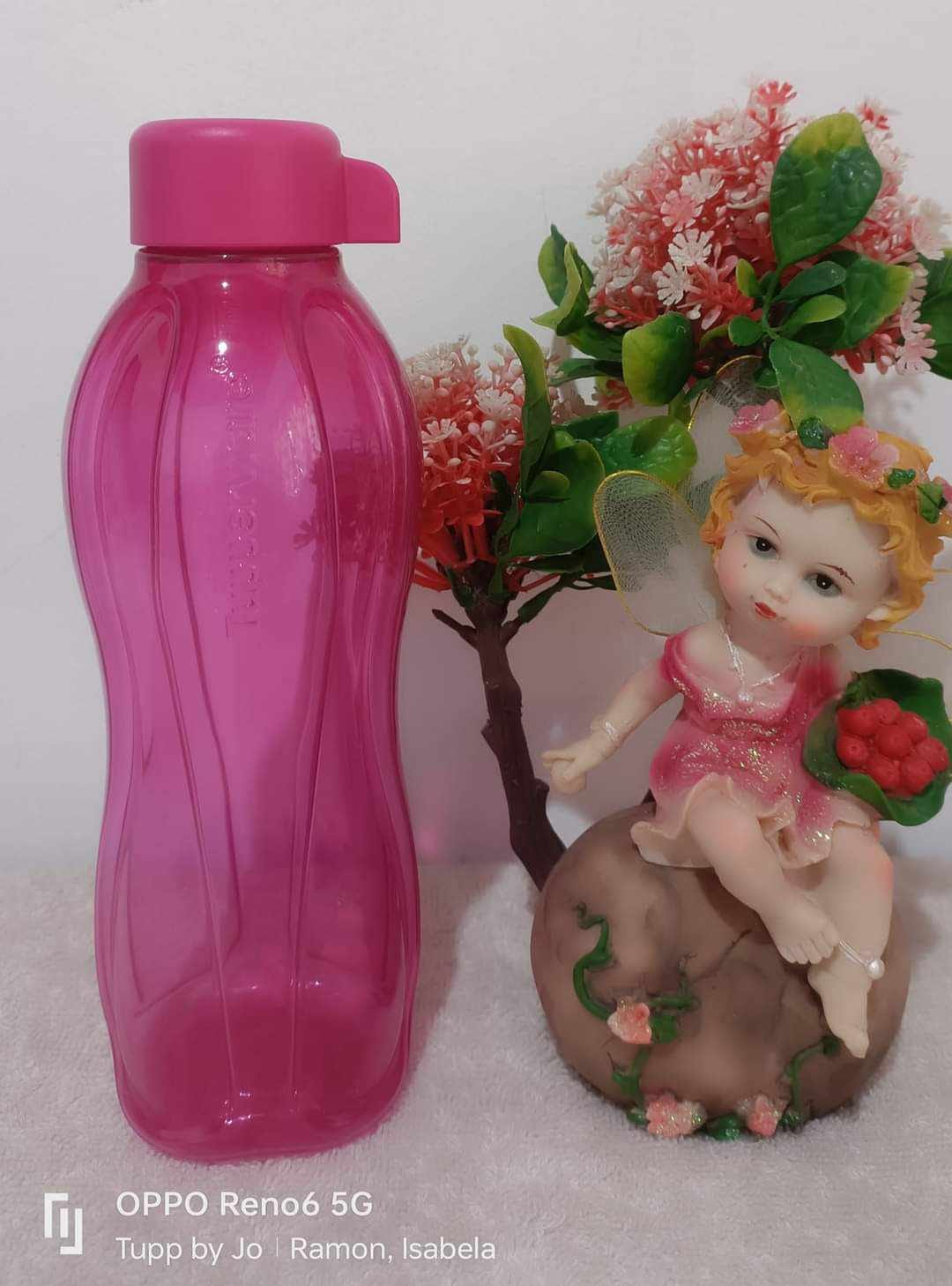 Bình nước Eco Bottle 500ml Tupperware chính hãng