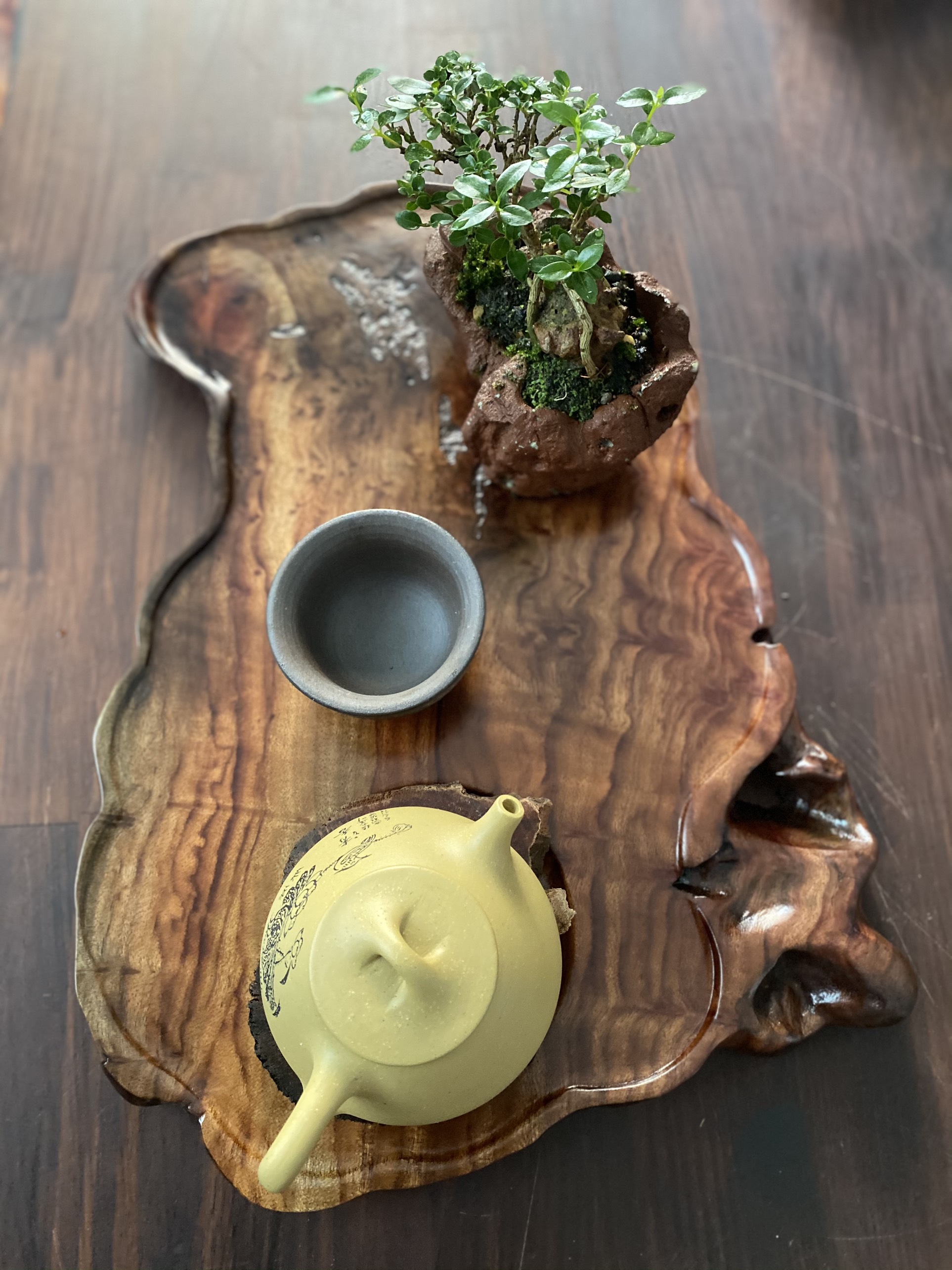 Khay Trà Gỗ Xá Xị