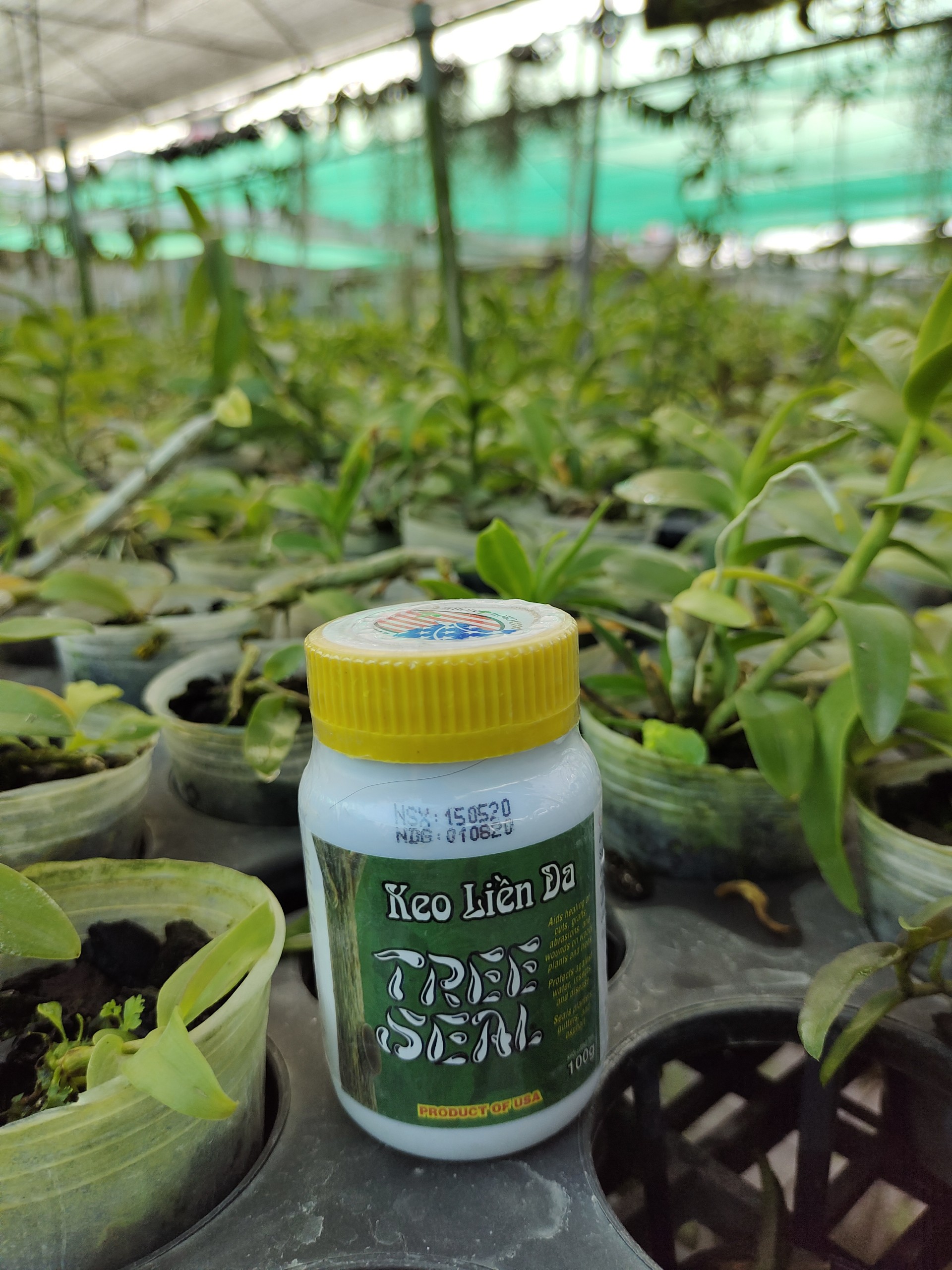 Keo Liền Da Cây Tree Seal - Keo Liền Sẹo Mỹ