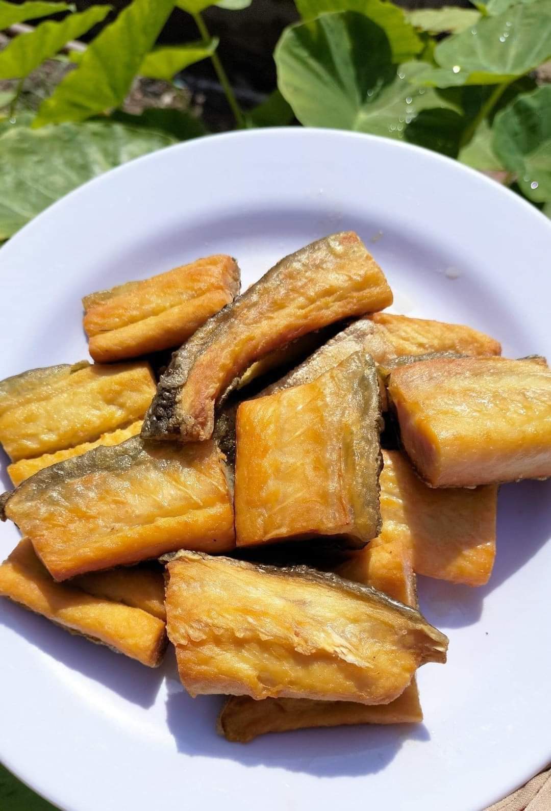 Khô Cá Dứa cắt khúc – Dứa file (Dẻo 3 nắng)- 500gr-