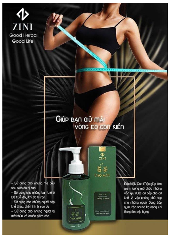 Cao tan mỡ bụng Cao mộc ZN ( Cao lá rừng mẫu mới nhất)