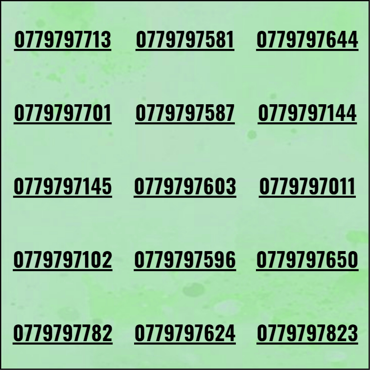 [HCM]Sim thần tài 3979
