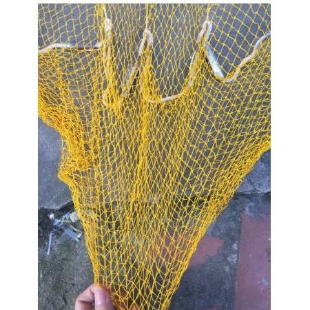 Chài dù tép bắt cá, tép bung 4 m