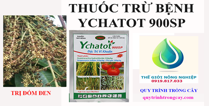 Ychatot 900sp TT-speciality for black cotton on mango plant