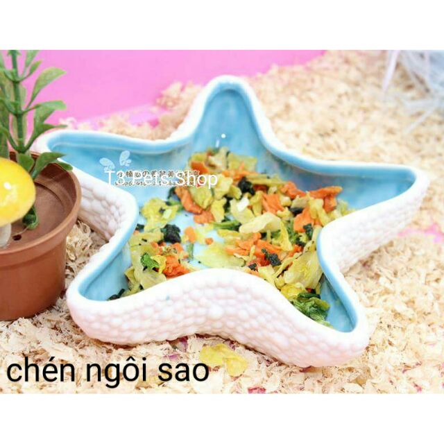 Chén sứ ngôi sao dành cho hamster, thỏ, bọ, sóc, nhím, ....- T3 PETS SHOP