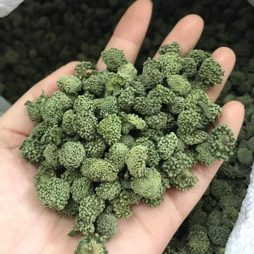Nụ Hoa Tam Thất Bao Tử (Nụ Không Chân 500gr)