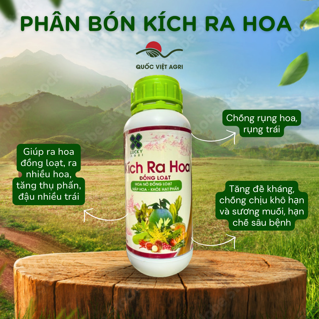 Phân bón lá - kích ra hoa đồng loạt - 500ml
