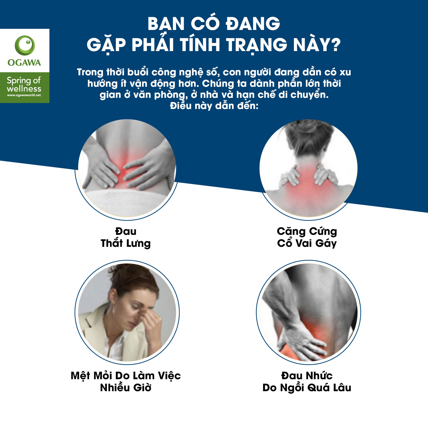 Đệm Massage Di Động OGAWA Estilo Prime Plus