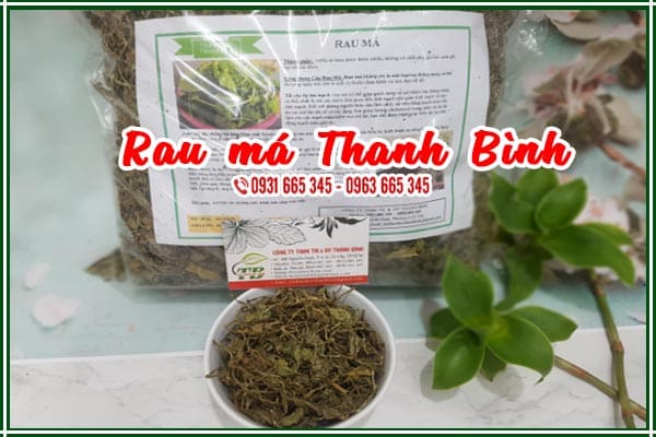 Rau má sấy khô 1kg - dược liệu thanh bình