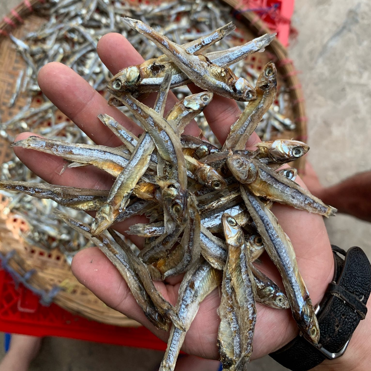 [HCM]Cách khô cá cơm khô ngon Cách khô cá cơm khô Khô cá cơm (500gr ...