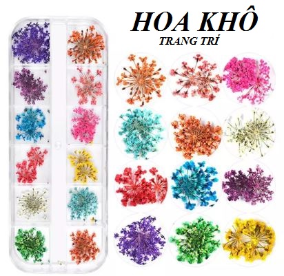 Hoa khô chùm trang trí móng 12 màu