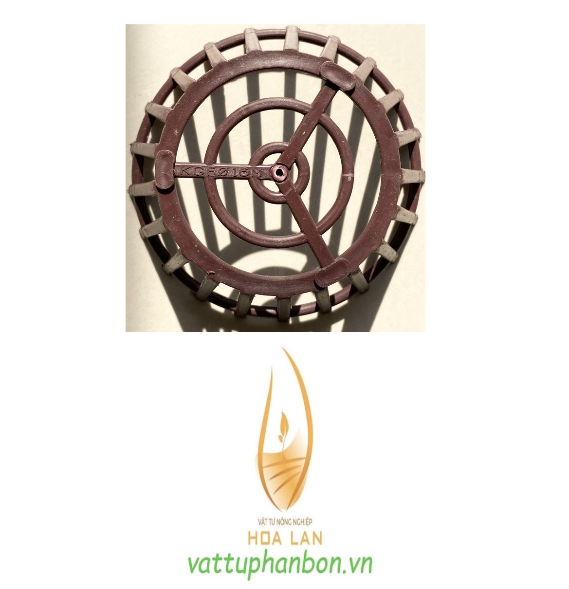 Chậu Nhựa Trồng Hoa Lan Phi 16cm - #021C#