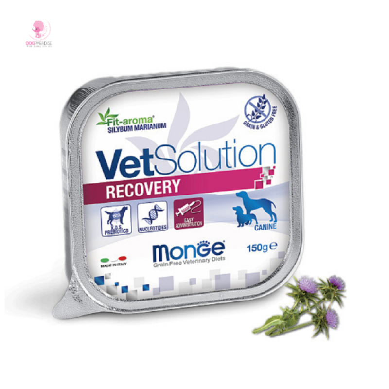 Pate phục hồi chức năng cho chó bệnh - Monge VetSolution Recovery