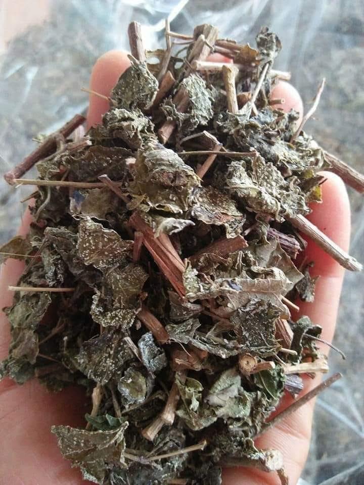 Trà dây - Chè dây Cao Bằng gói 1kg