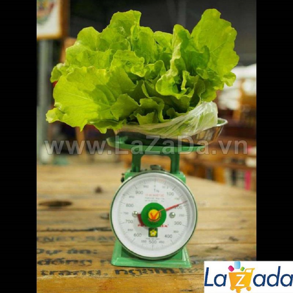 1KG Hạt Giống Cải Bẹ Dún (| W1*X45)