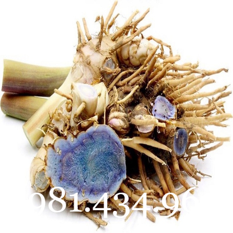 Nghệ Đen Tươi 01KG CHUẨN Tốt mới