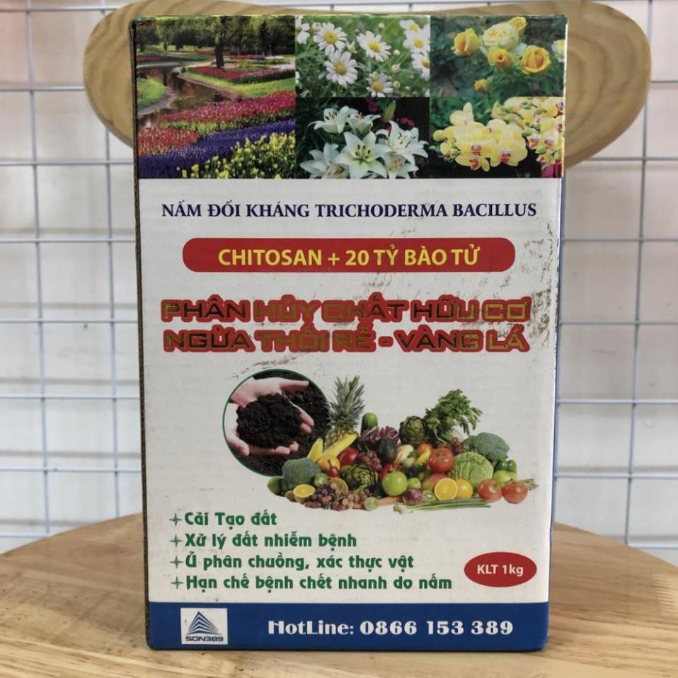 NẤM ĐỐI KHÁNG TRICHODERMA BACILLUS HỘP 1KG - Ủ PHÂN CHUỒNG