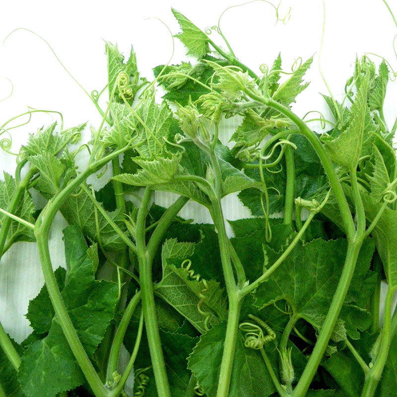 20GR - HẠT GIỐNG BÍ SIÊU NGỌN