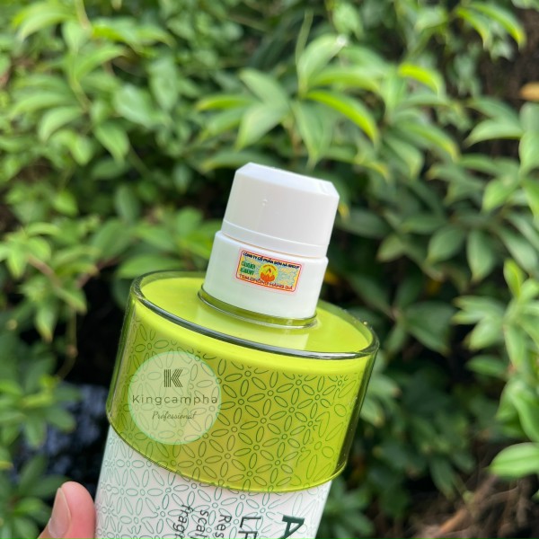 Dầu gội xả ACAI BERRY 950ml (pháp)