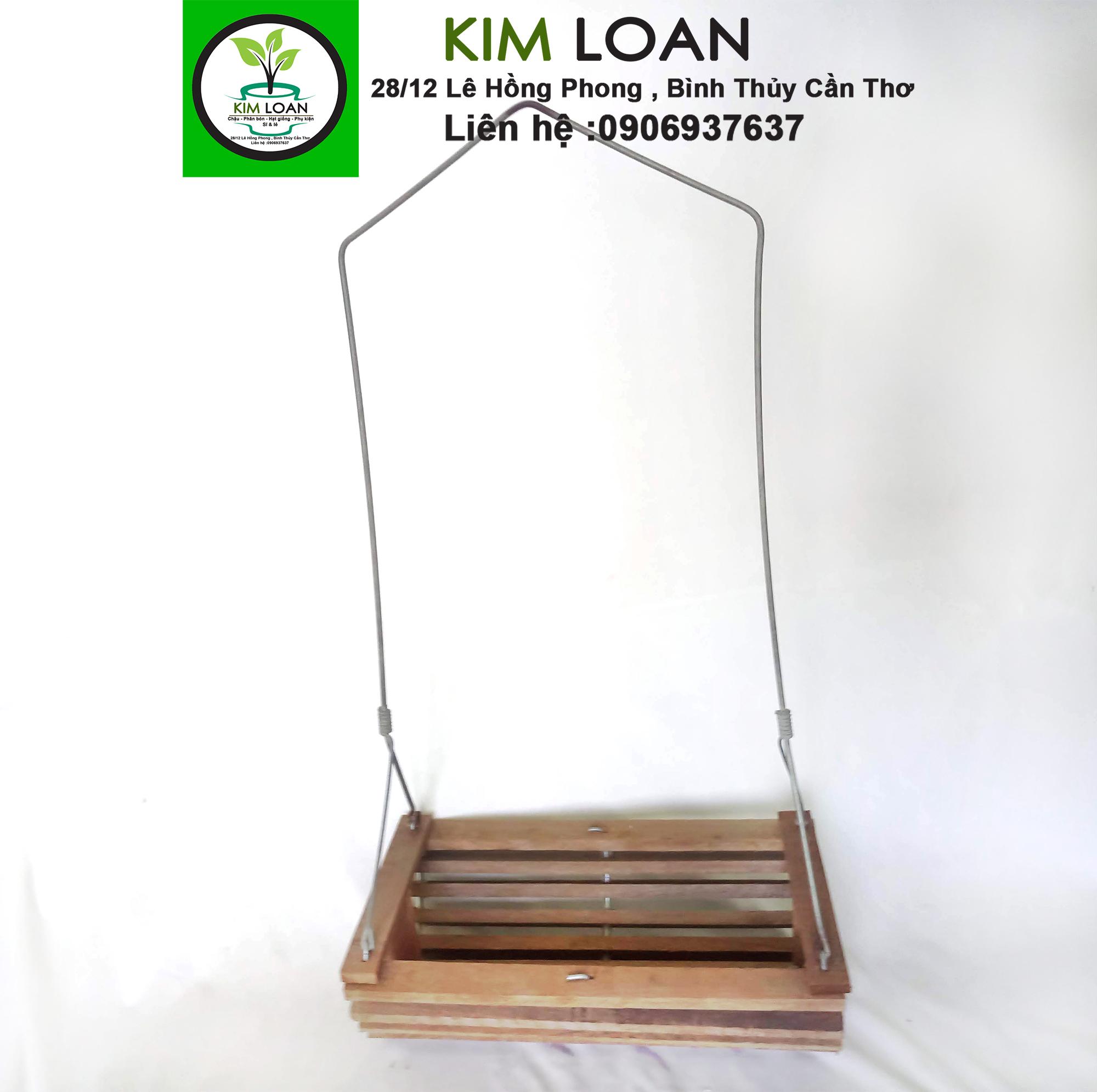 Chậu lan gỗ xích đu 27x16x8cm
