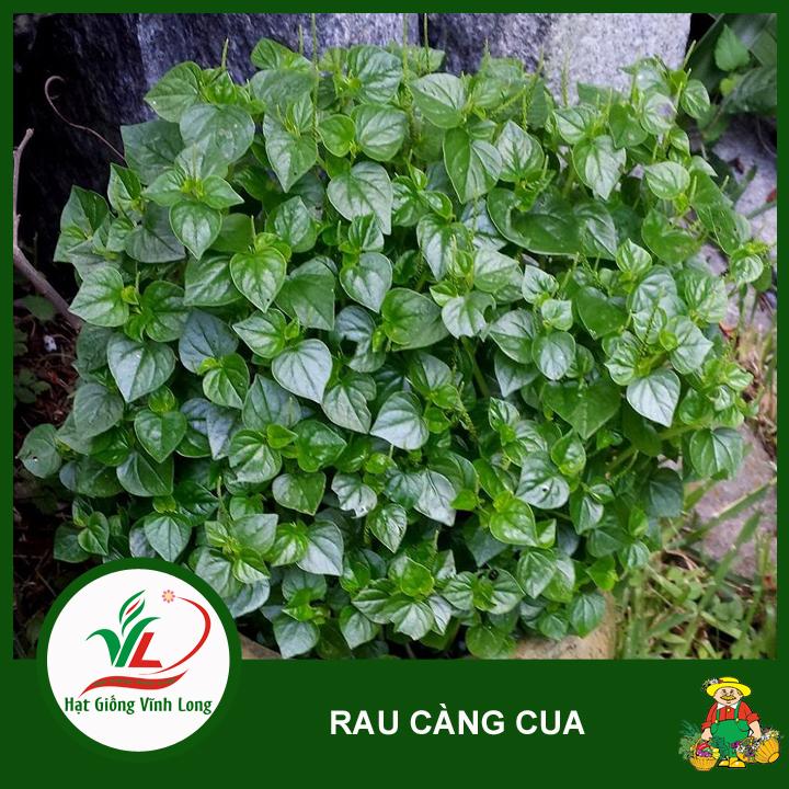 Hạt giống rau Càng cua RD 666 - 0,5g