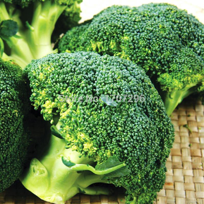 Hạt giống Súp lơ xanh – 0.2Gram/Gói - VTNN2