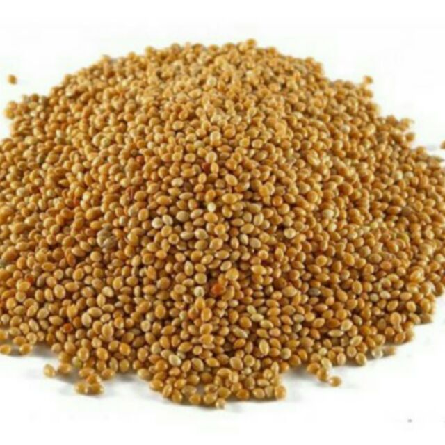 1kg Hạt kê vàng nguyên vỏ