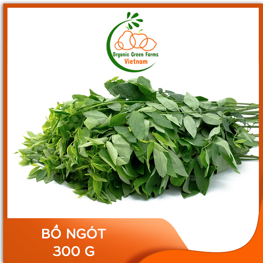 [OGF] - Bồ ngót (300g) - Giao nhanh HCM