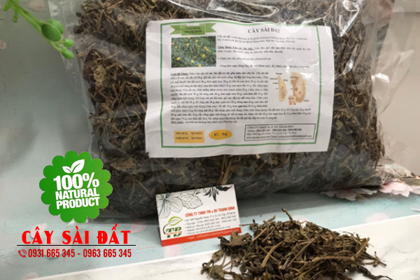 Cây Sài Đất Khô 100G Hàng CTy Loại 1 - Thảo Dược Thanh Bình