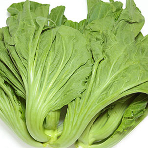 Hạt giống cải bẹ dưa - cải tòa xoại gói 20g VTS97 | Vạn Tín Store