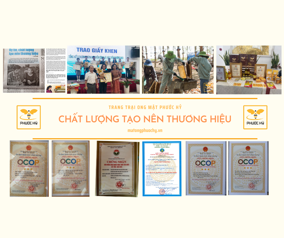 phấn hoa nguyên chất Phước Hỷ 150g