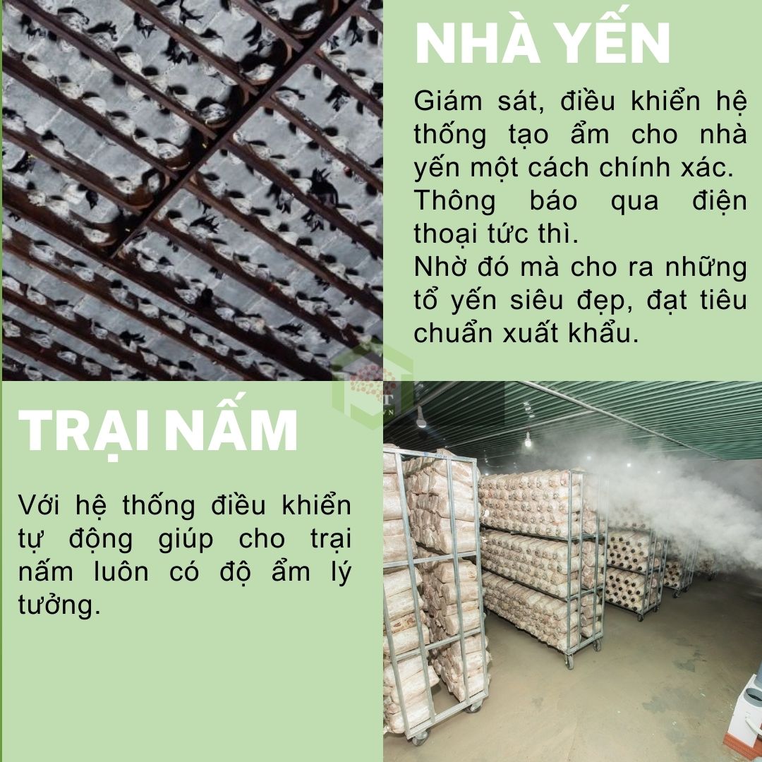 Vỉ phun sương siêu âm 10 mắt phun