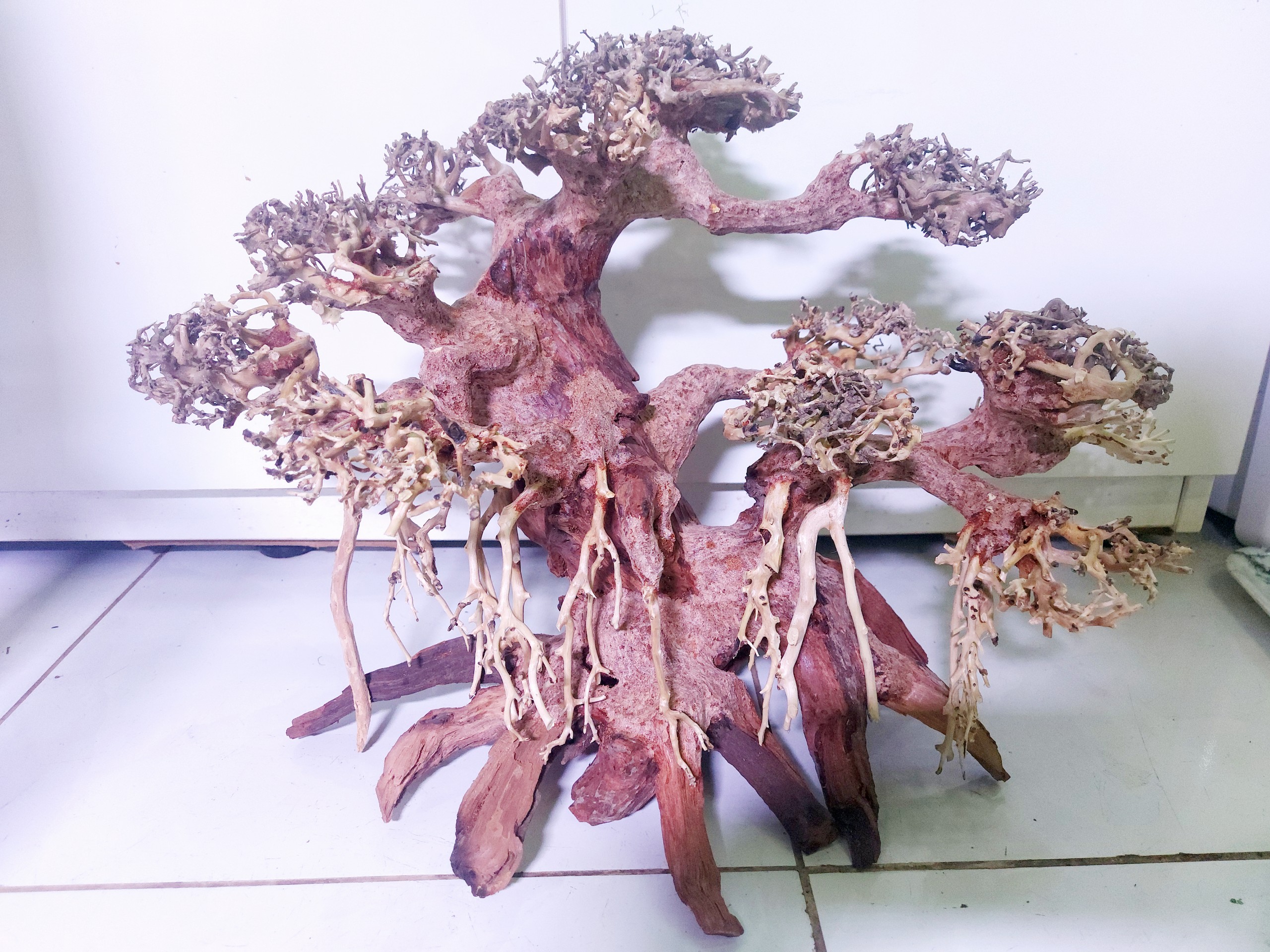 Lũa Bonsai Mini kiểu dáng xoè Trang Trí Bể Cá - Bể Thủy Sinh (C:30cm D: 40cm)