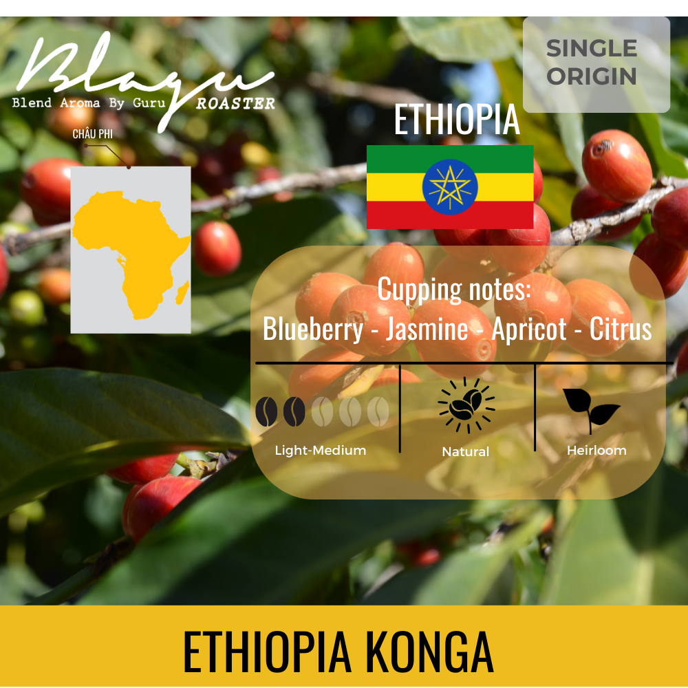 Cà Phê Blagu, Hạt Đã Rang, Ethiopia N. Konga - Light- Medium Roat - 250G