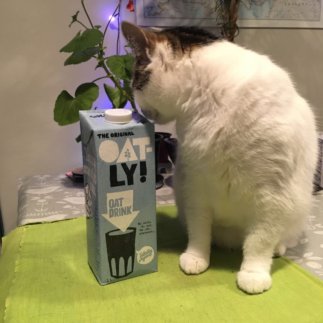 OATLY! Sữa yến mạch Oatly Oat Drink Original (6 x 1L)