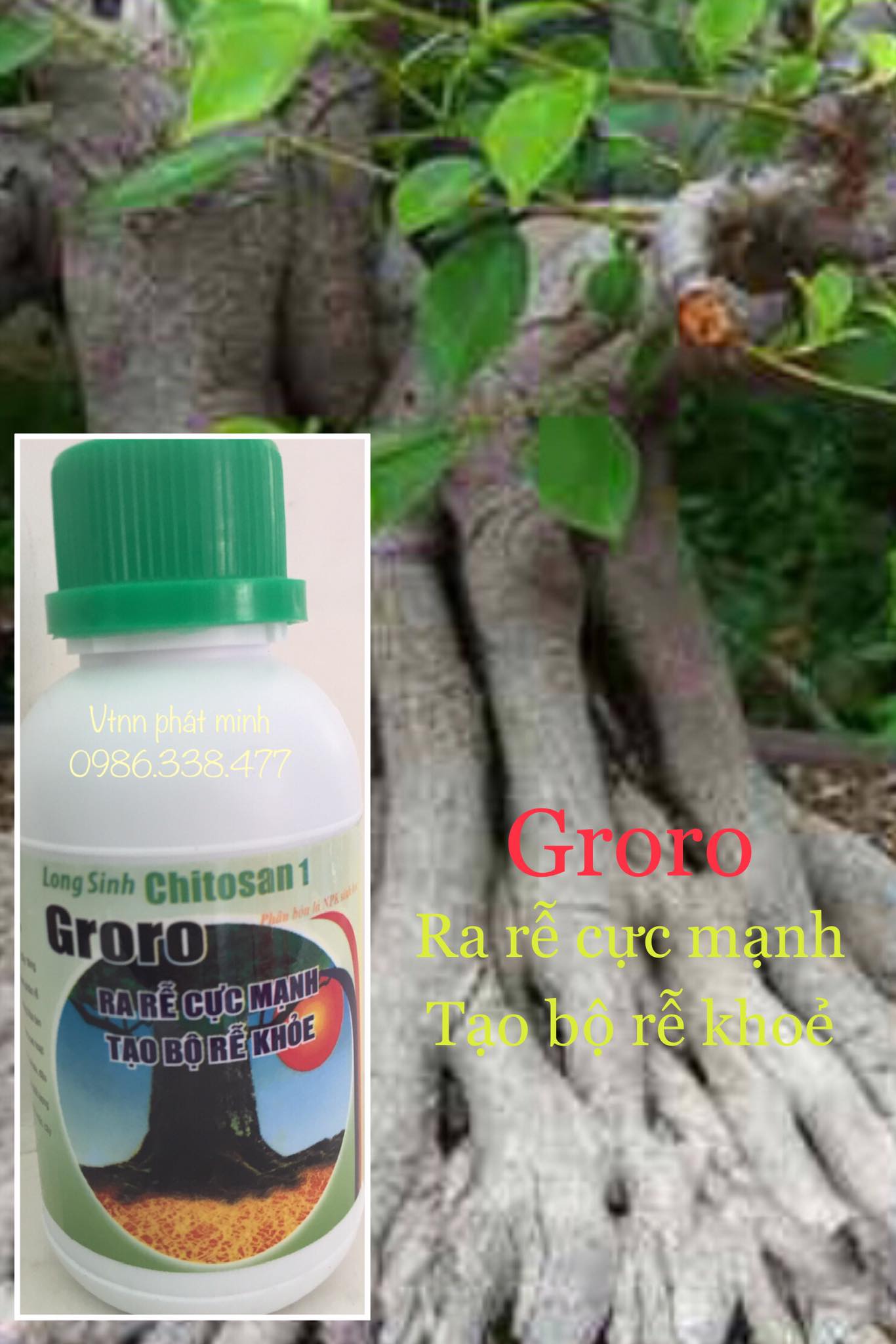 Phân bón kích ra rễ cực mạnh Groro Chitosan