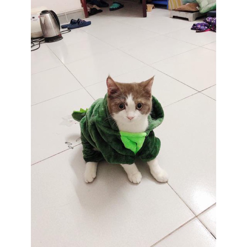 ÁO CHÓ MÈO THU ĐÔNG LIỀN QUẦN SIÊU CUTE