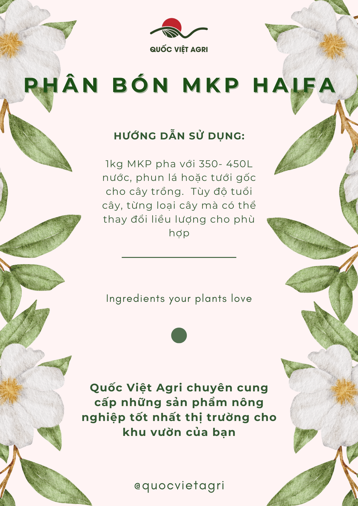 QVA - CHÍNH HÃNG: [100g-25kg] Phân bón MKP HAIFA 0-52-34