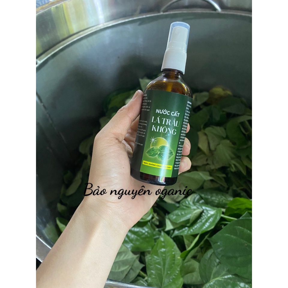 Nước cất lá trầu không nguyên chất