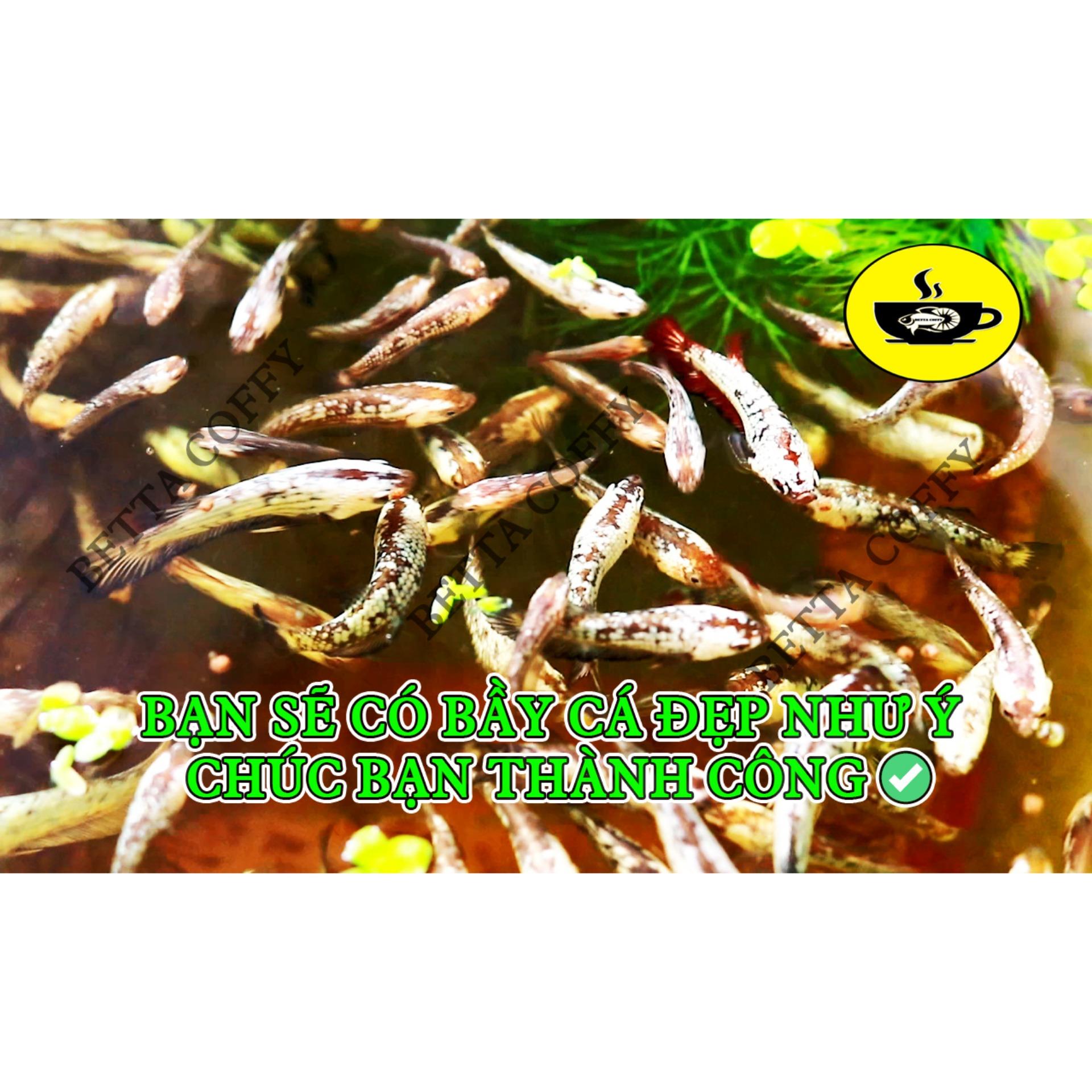 Bút đo pH ATC - 3s là ra độ PH - BETTA COFFY