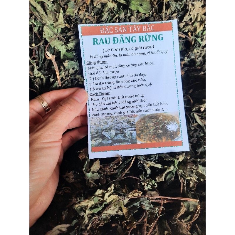 Lá Đắng ( Lá Cơm Kìa Rừng Tây Bắc ) Túi 500Gr