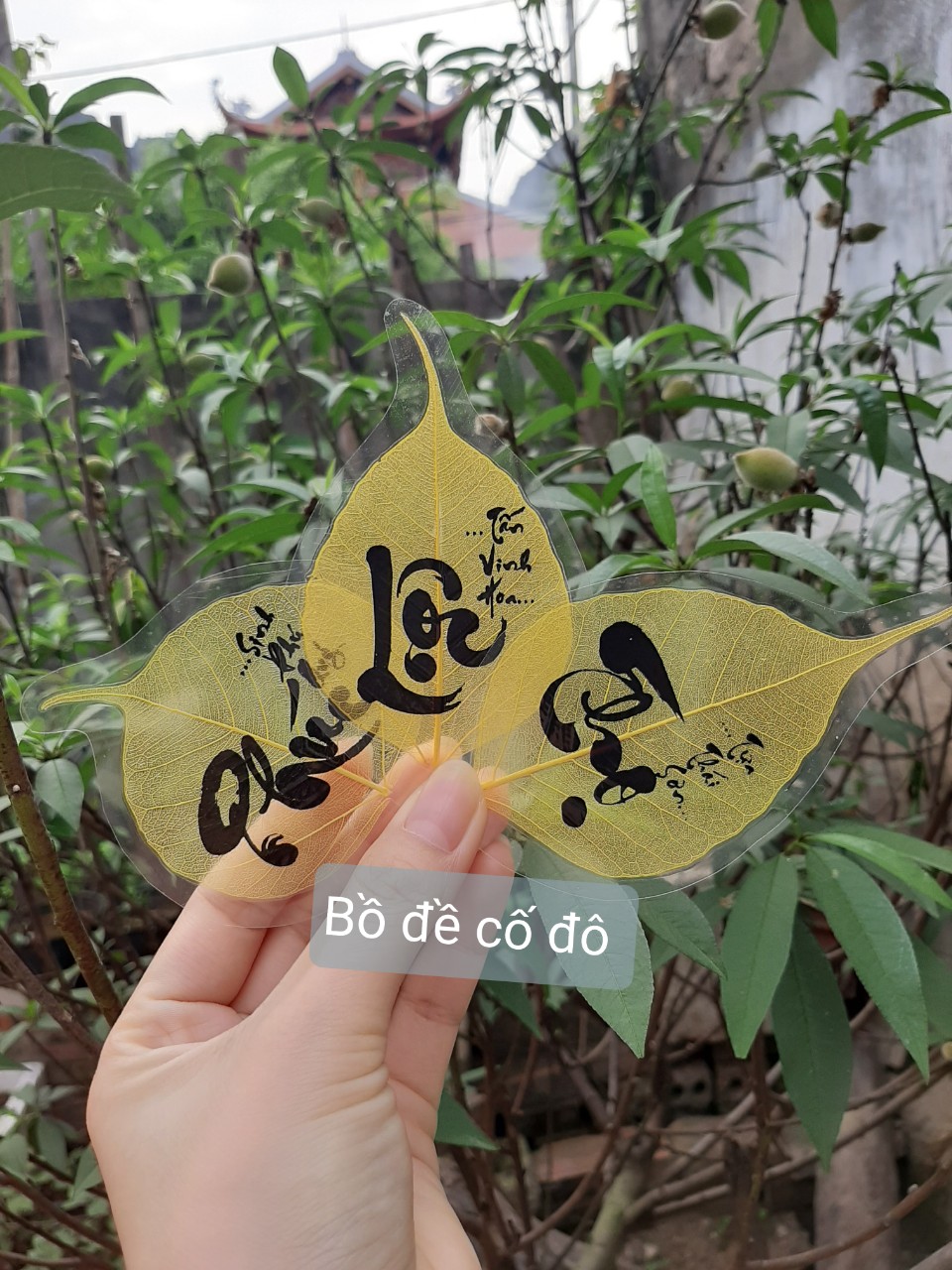 Bộ ba lá bồ đề Phúc Lộc Thọ